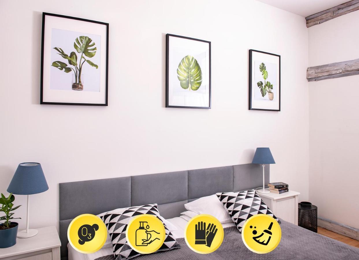 3D Florianska 15 Apartament Krakau Buitenkant foto